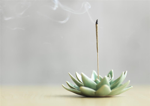 修篱种菊成语什么意思_修篱种菊图片(3)