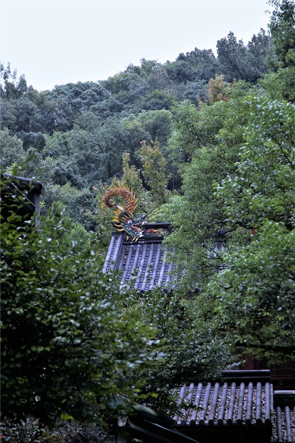 image001.jpg